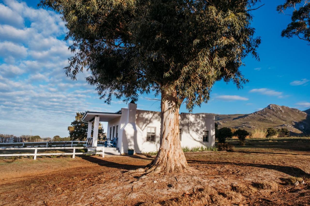 White Water Farm Guest House Stanford Eksteriør bilde